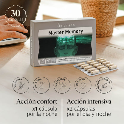 MASTER MEMORY PALMECO