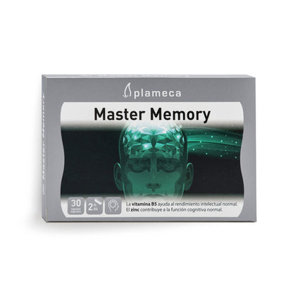 MASTER MEMORY PALMECO